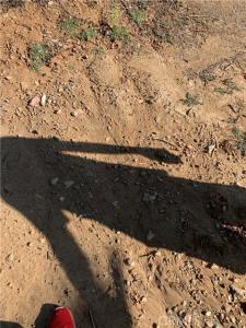 Yucca Mesa, Landers, 加利福尼亚州 92285, 美国