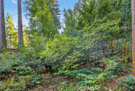 Terrace Drive, Forestville, California 95436