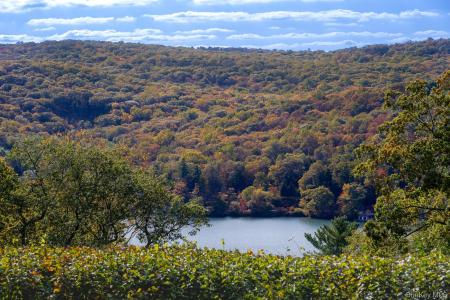 62 Circuit Road, Tuxedo, New York 10987, HOA KỲ