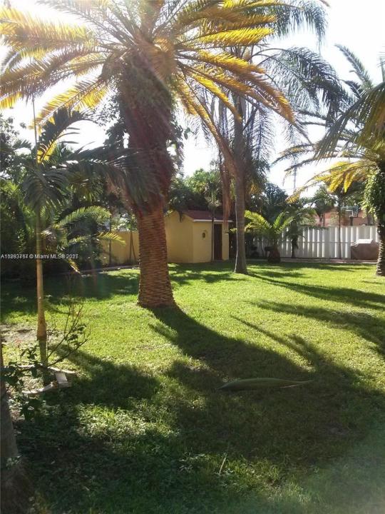 1826 Cleveland St 1, Hollywood, 佛羅里達州 33020, 美國