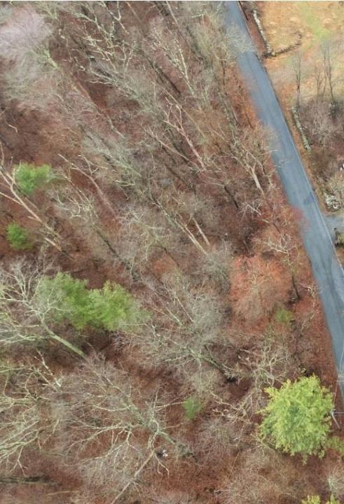 Cranberry Ridge Road, Scituate, Rhode Island 02857, Estados Unidos