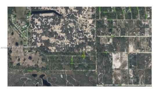 320 Tannery Ln, Lake Placid, Floride 33852, États-Unis