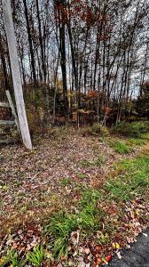 TBD Hysana Road, Fallsburg, New York 12733, Stati Uniti