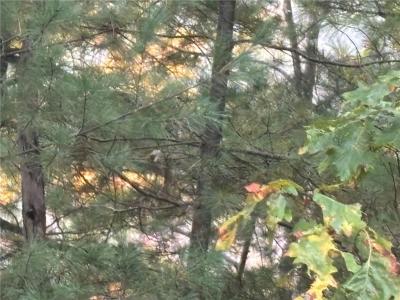 258 Log Road, Smithfield, Rhode Island 02917, États-Unis
