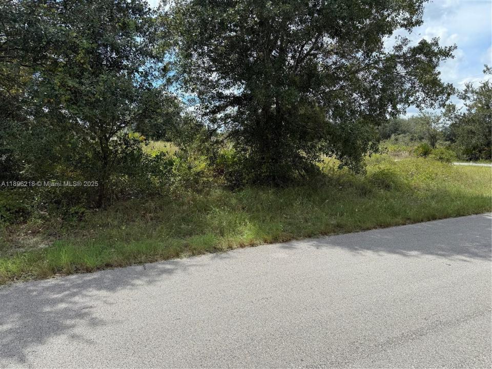 Other City - In The State Of Florida, Florida 33971