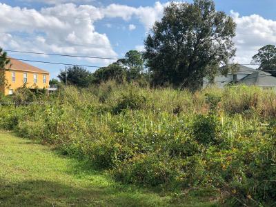 4149 SW Bamberg St, Port St. Lucie, פלורידה 34953, ארצות הברית של אמריקה 