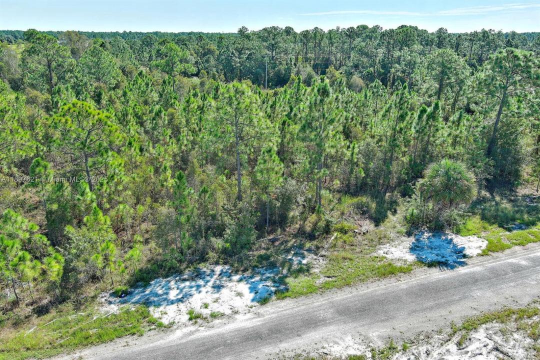 839 KALEY AVE S, Lehigh Acres, Florida 33974, Stati Uniti