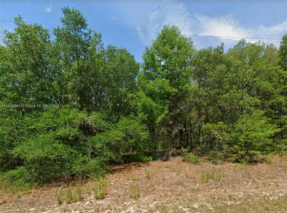 11451 N clare, Citrus Springs, Florida 34434, USA