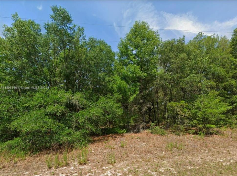 11451 N clare, Citrus Springs, Florida 34434