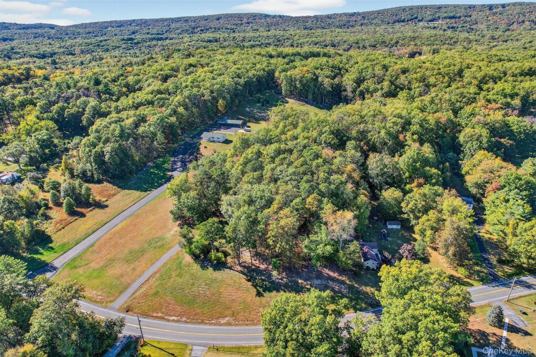 335 Burlingham Road, Mamakating, Nueva York 12721, Estados Unidos