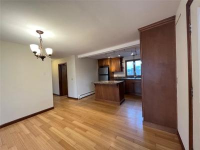 3 Buttonwood Street 1, Bristol, Rhode Island 02809, Estados Unidos