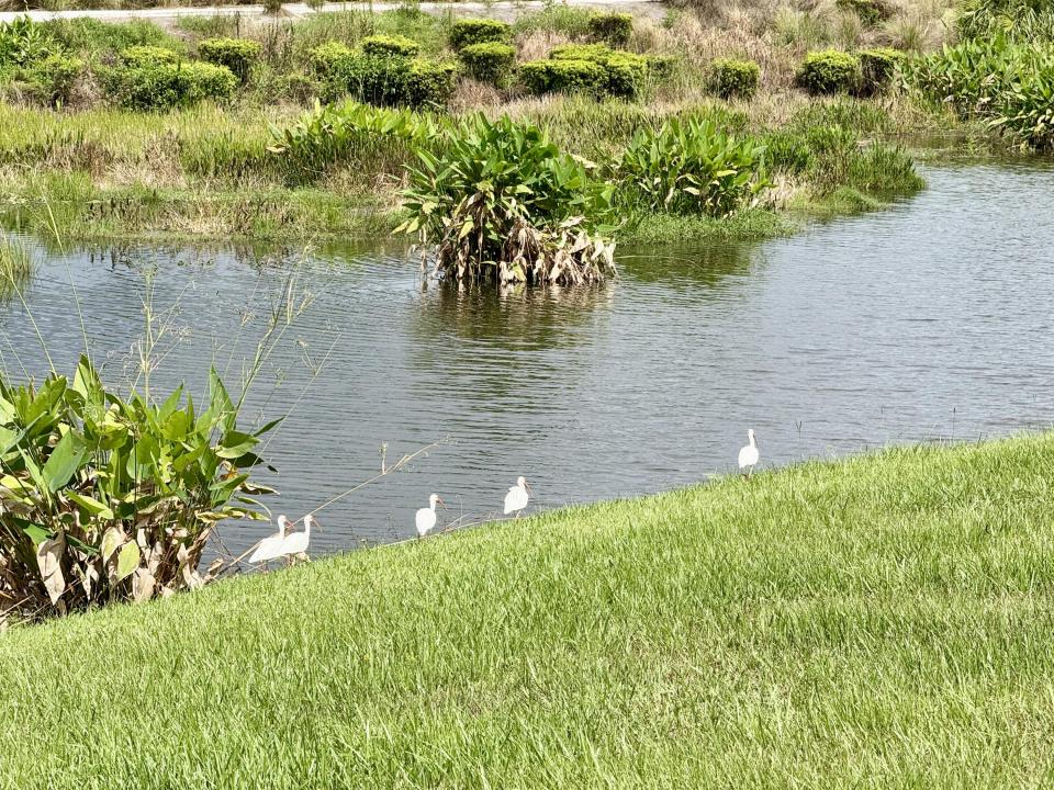 137 SE Mira Lavella, Port Saint Lucie, Florida 34984