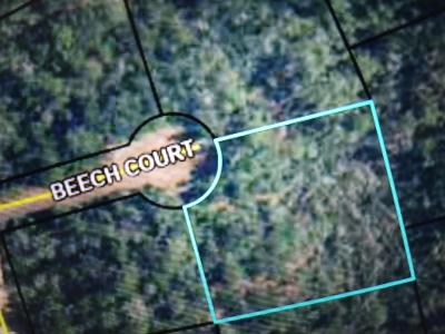 000 Beech Court, Alford, Floride 32420, États-Unis