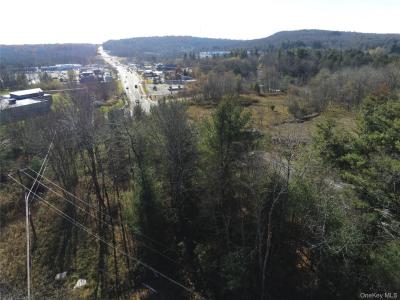 TBT Route 42, Thompson, New York 12701, HOA KỲ