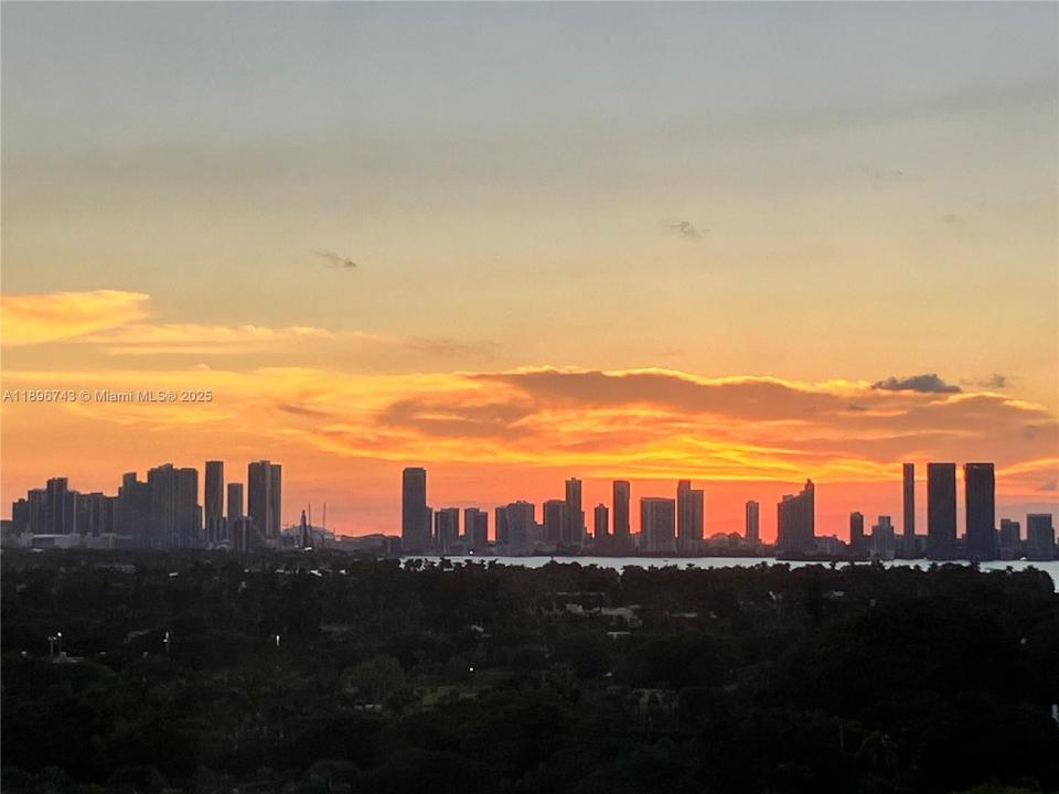 2899 Collins Ave 1638, Miami Beach, Florida 33140, Amerika Birleşik Devletleri