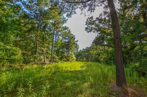 County Road 4224, Frankston, Texas 75763