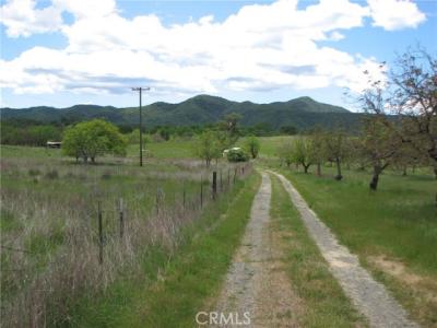 Bachelor Valley Road, Upper Lake, Kaliforniya 95493, Amerika Birleşik Devletleri