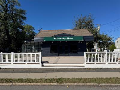 58 Halstead Avenue, Harrison, New York 10528, HOA KỲ