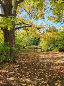 Park Avenue, Woonsocket, Rhode Island 02895, Estados Unidos