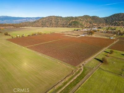 Gaddy Lane, Kelseyville, カリフォルニア 95451, アメリカ合衆国