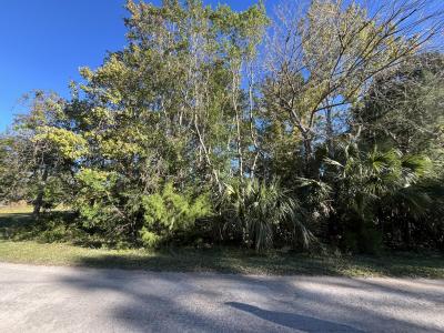 9667 S Lotus Point, Homosassa, Florida 34448