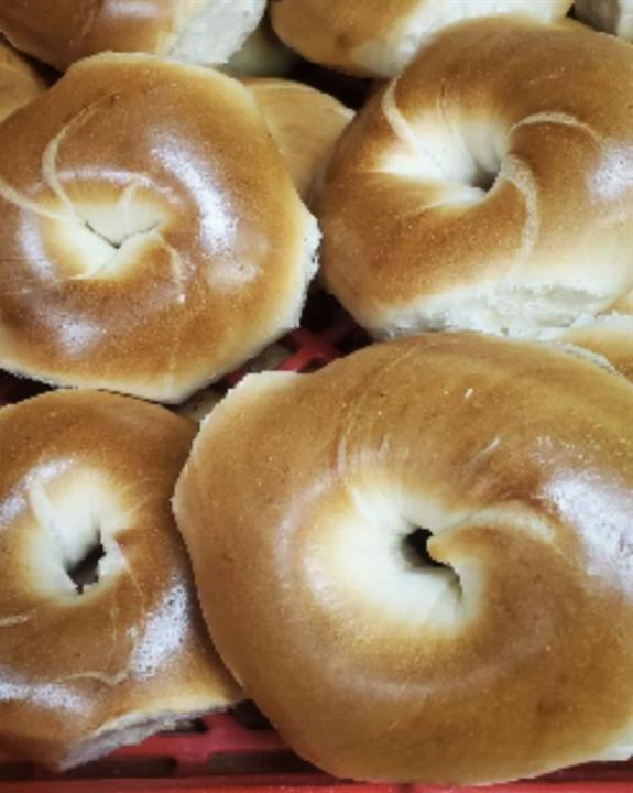 000 Wiles Road, Coral Springs, Florida 33076