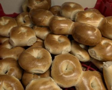 000 Wiles Road, Coral Springs, Florida 33076