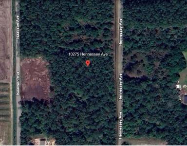 10275 Hennessey Avenue, Hastings, Floride 32145, États-Unis