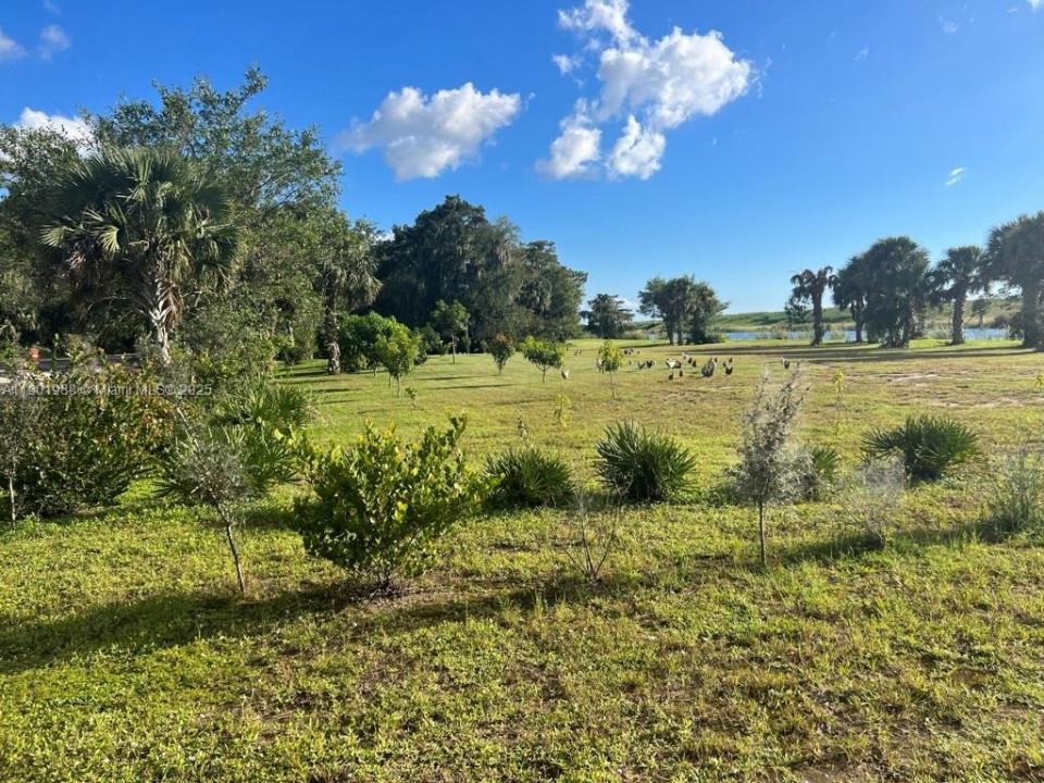 12600 SW CONNERS HWY, Okeechobee, פלורידה 34974, ארצות הברית של אמריקה