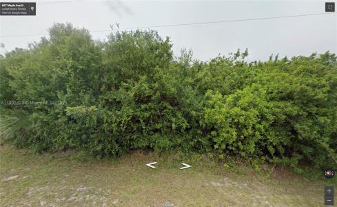 607 MAPLE AVE N, Lehigh Acres, Florida 33972, USA