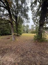 Greene Road, Minden, Louisiana 71055, USA