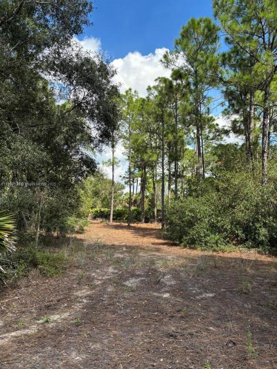 1980 Al Don Farming Rd, Clewiston, Флорида 33440, Соединенные Штаты