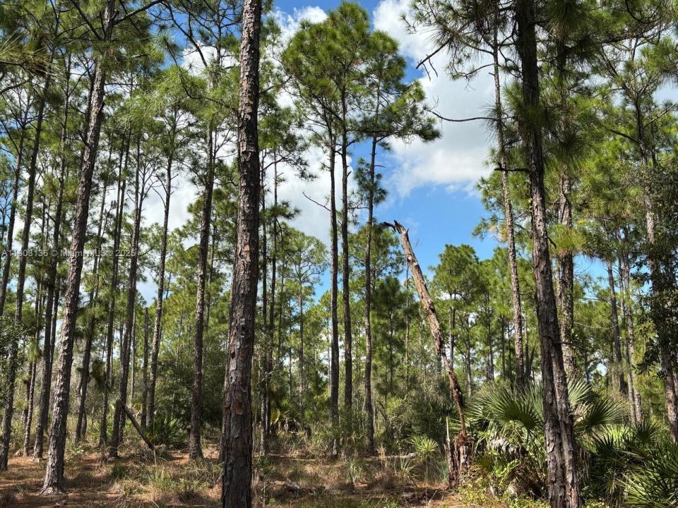 1980 Al Don Farming Rd, Clewiston, Флорида 33440, Соединенные Штаты