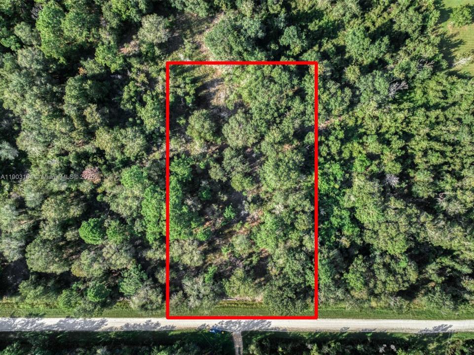 2622 W DAWSON ROAD, Avon Park, 佛罗里达州 33825, 美国