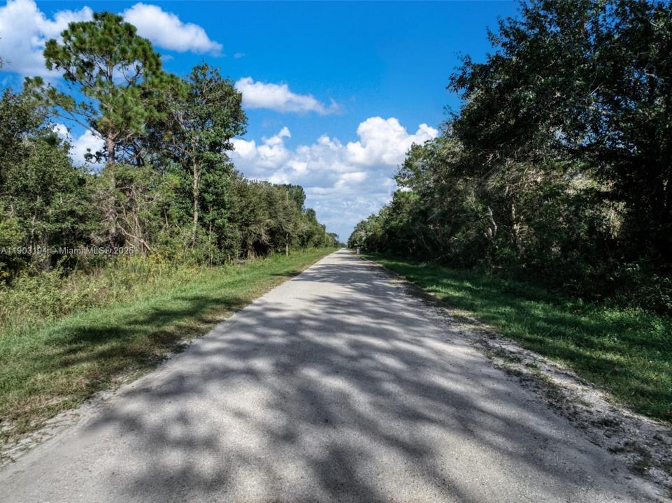 2622 W DAWSON ROAD, Avon Park, 佛罗里达州 33825, 美国