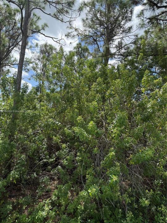 0000 UNASSIGNED, Indian Town, Florida 34956, Estados Unidos