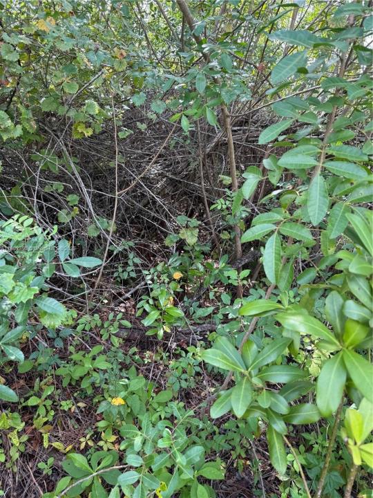 0000 UNASSIGNED, Indian Town, Florida 34956, Estados Unidos