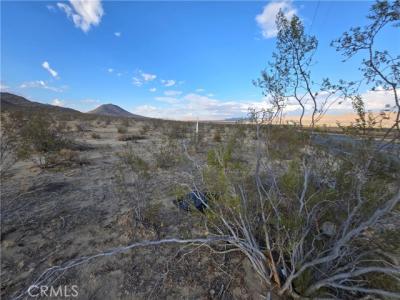 Corwin, Lucerne Valley, 加利福尼亚州 92703, 美国