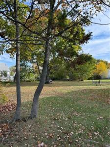 Rosella Avenue, Pawtucket, רוד איילנד 02861, ארצות הברית של אמריקה 