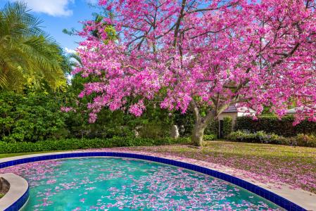 334 Barton Avenue, Palm Beach, Florida 33480, Estados Unidos