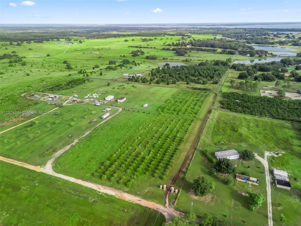 Punkin Center Road, Clermont, Florida 34748, Amerika Birleşik Devletleri