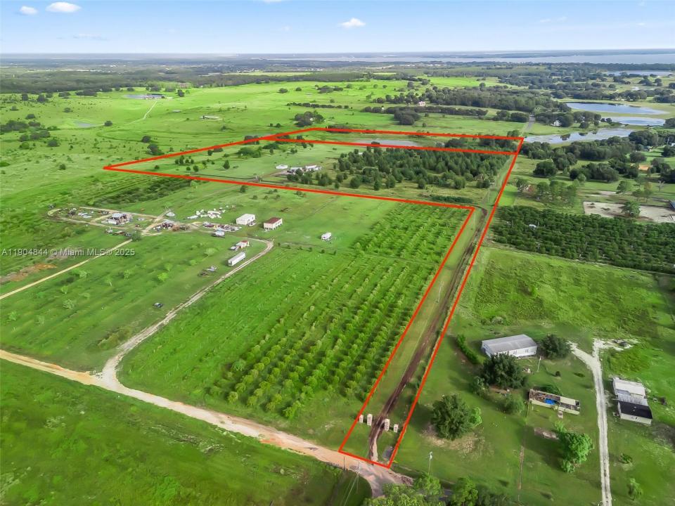 Punkin Center Road, Clermont, Florida 34748, Amerika Birleşik Devletleri