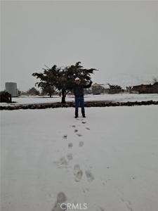 Vac/Longview Rd/Vic Murphys Road, Juniper Hills, 加州 93543, 美國