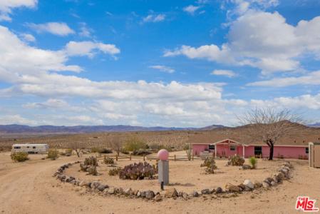 Carot Road, Joshua Tree, 캘리포니아 92252, 미국