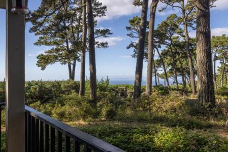 Ocean Pines Lane, Pebble Beach, 加州 93953, 美國