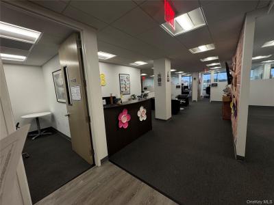 60 Cuttermill Road, North Hempstead, New York 11021, Stati Uniti