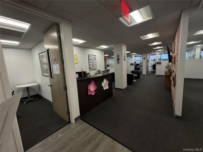 60 Cuttermill Road, North Hempstead, New York 11021, Stati Uniti