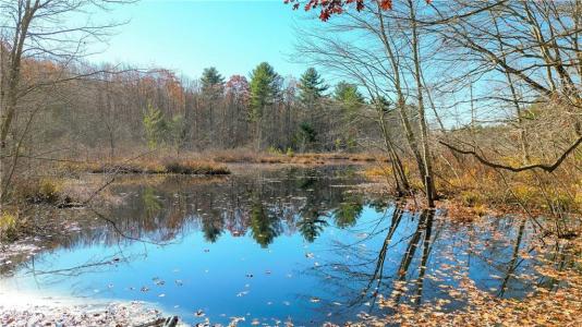 Stone Dam Road, Glocester, 로드아일랜드 02857, 미국