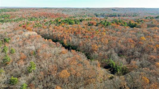 Stone Dam Road, Glocester, 로드아일랜드 02857, 미국