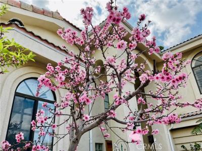 W 154th, Gardena, Califórnia 90249, Estados Unidos